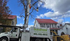 Clearview Tree Service