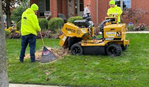 Coxs Tree & Lawn Care