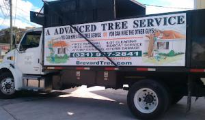 A Advanced Tree Service