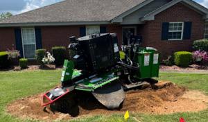 Patriot Stump & Land