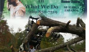 SKYHIGH Tree Services
