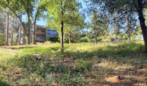 Stand Alone Defendable