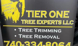 Tier One Tree Experts