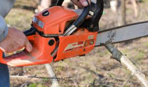 King James Tree Service