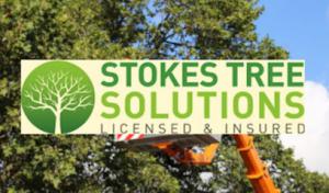 Stokes Tree Solutions
