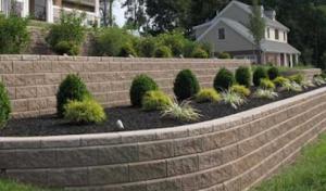 Benitez Tree & Landscaping