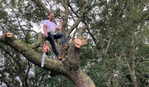 Stump Depot Tree Service