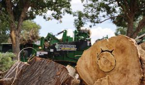 N&D Tree & Crane Services