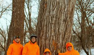 Neighborhood Tree Care