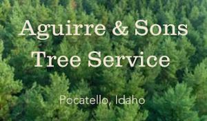 Aguirre & Sons Tree Service