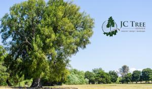 JC Tree Service