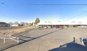 Roswell Tree Services