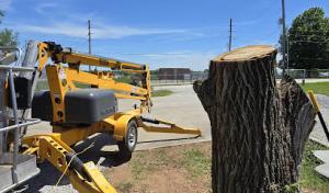 Midwest Tree Removal Services