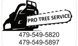 Pro Tree Service