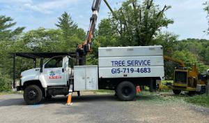 MM Tree Services