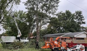 Shepherds Lawn & Tree Service