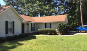 On the Spot Lawn Care