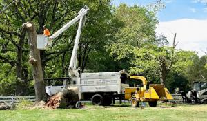 McLain Tree & Landscaping