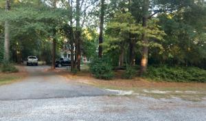 A Notch Above Tree & Lawn Care