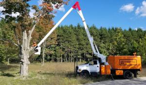 Parshall Tree Care Experts