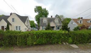 Tropical Tree Service