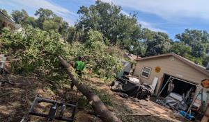 Integrity Tree Service