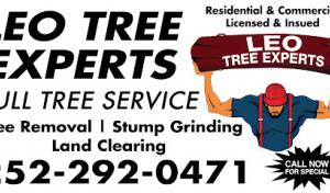 Leo Tree Experts