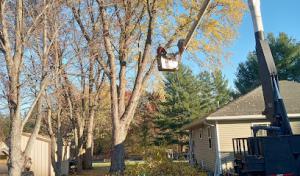 A-1 Tree Service of Central Wisconsin