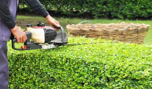 Jerry's Tree Service