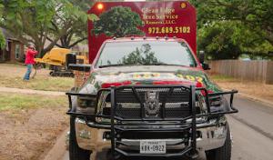 Clean Edge Tree Service & Removal