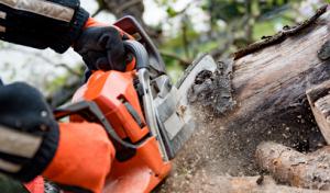 Valkyrie Tree Service