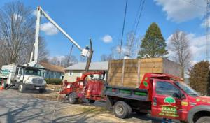 Perez Tree Service & Hardscaping