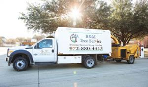 B&M Tree Service