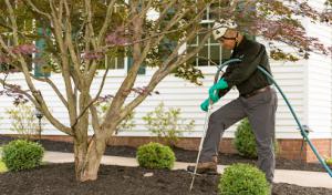 The Davey Tree Expert Company