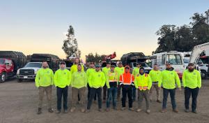 Paradise Tree Service