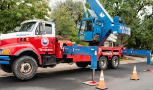 Patriot Tree Company