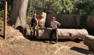 All American Septic Service Of Calhoun