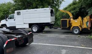 Creative Tree Service