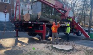 Anytime Septic, Inc. Collinsville