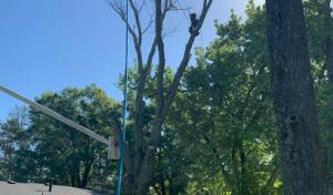 Sam's Backhoe & Septic Repairs