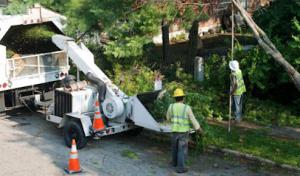 Superior Septic Services