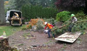 Hiebert Tree Service
