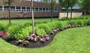 J & K Litton Septic Services