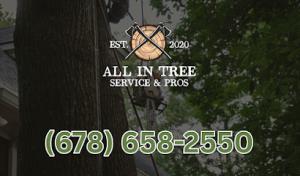 All In Tree Service of Smyrna