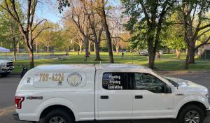 The Crown Jewell Tree Care