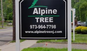 Alpine Tree Service