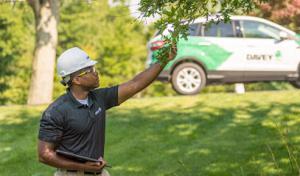 The Davey Tree Expert Company