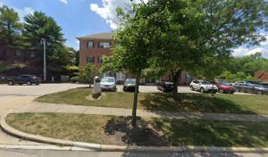 All Seasons Tree Pros