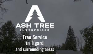 Ash Tree Enterprises