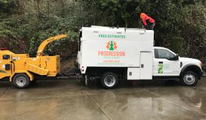 Progression Tree Care